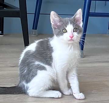 Photo of Wilbur