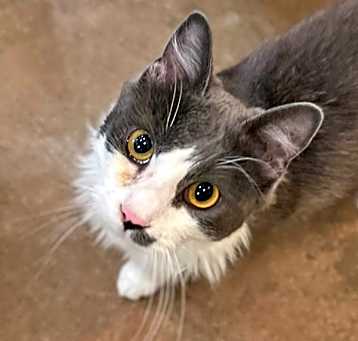 Photo of Ernie