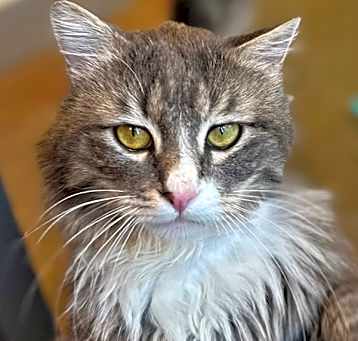 Photo of Burt