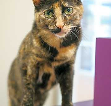 Photo of Charlotte