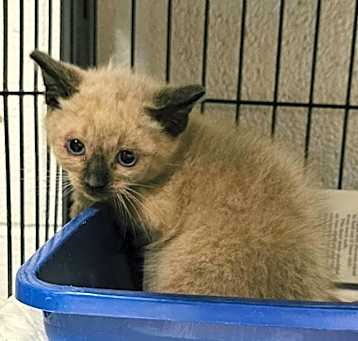 Photo of Stormy
