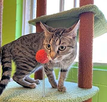 Photo of Eris