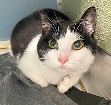 Photo of ABBY