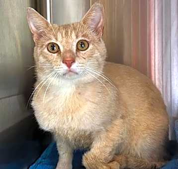 Photo of Mellow