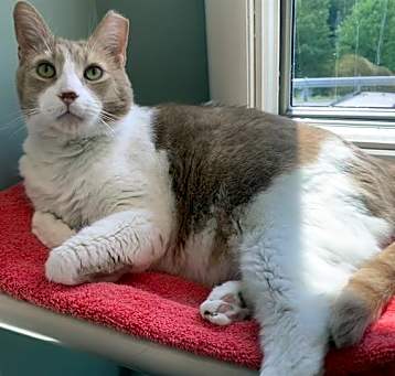 Photo of SNOWY