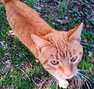 Photo of No name