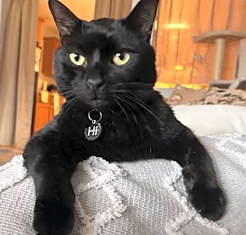 Photo of Neo
