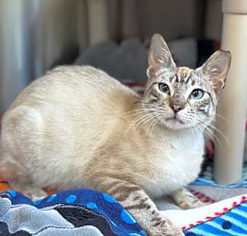 Photo of BLUE