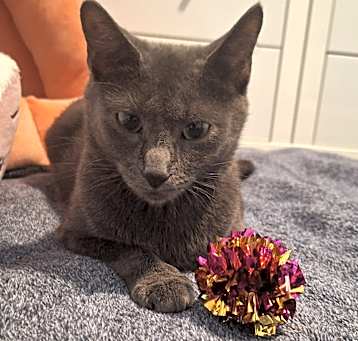 Photo of Odette
