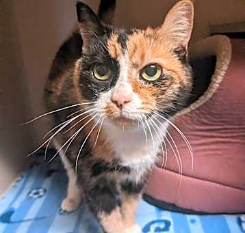 Photo of Molly