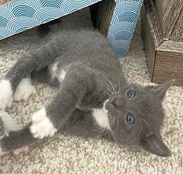 Photo of Bennie