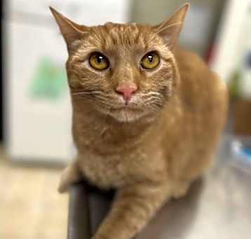 Photo of Leonard
