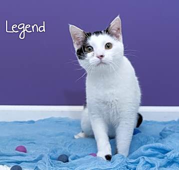 Photo of Legend