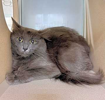 Photo of Muffy