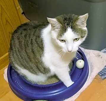 Photo of Sophie