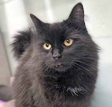 Photo of Sandy