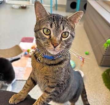 Photo of Wally