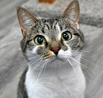 Photo of Francesca