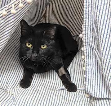 Photo of Wednesday