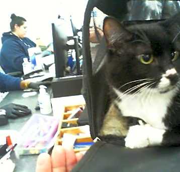 Photo of BOOTS