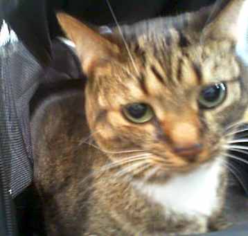 Photo of SAGE