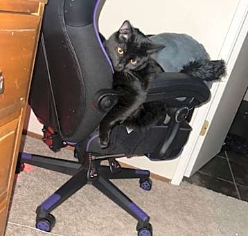 Photo of Salem