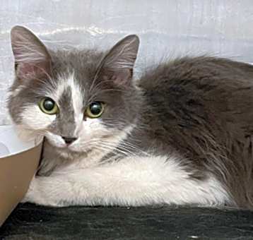 Photo of Grace