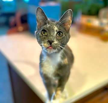 Photo of Cosmic
