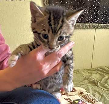 Photo of Buster