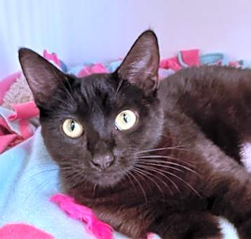 Photo of Minky