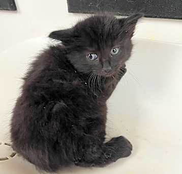 Photo of Spicy butt