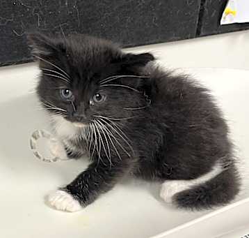 Photo of lil fella