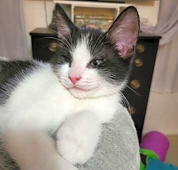Photo of Mr. Moo