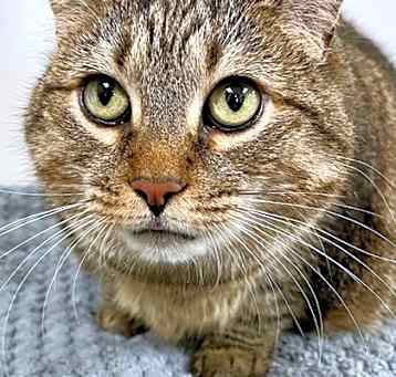 Photo of Bell