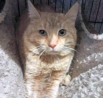 Photo of Oliver