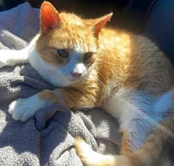Photo of Winston