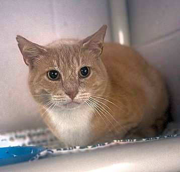 Photo of Reggie