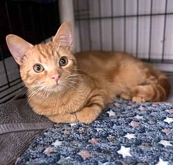 Photo of Charlie