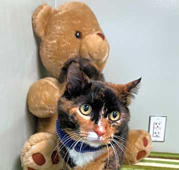 Photo of Carmela