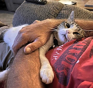 Photo of Socks