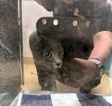 Photo of TNR-4
