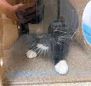 Photo of TNR-2