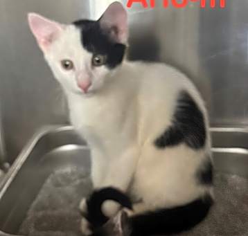 Photo of Arlo 25