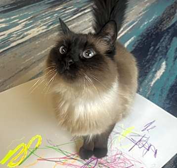 Photo of Ava