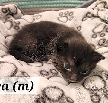 Photo of Java