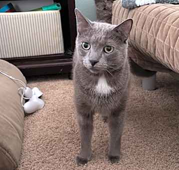 Photo of Charlie