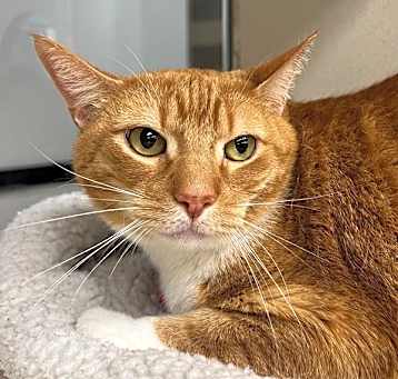 Photo of Timber
