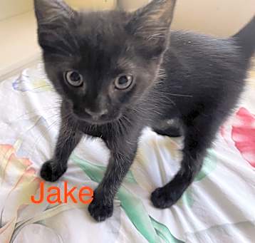 Photo of Jake