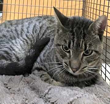 Photo of JASPER