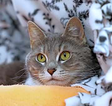 Photo of Penelope